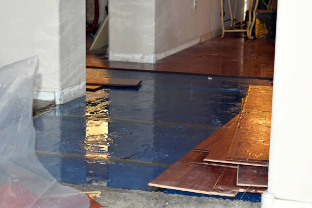 Professional Burst Pipe Cleanup technician working in Centerport, PA